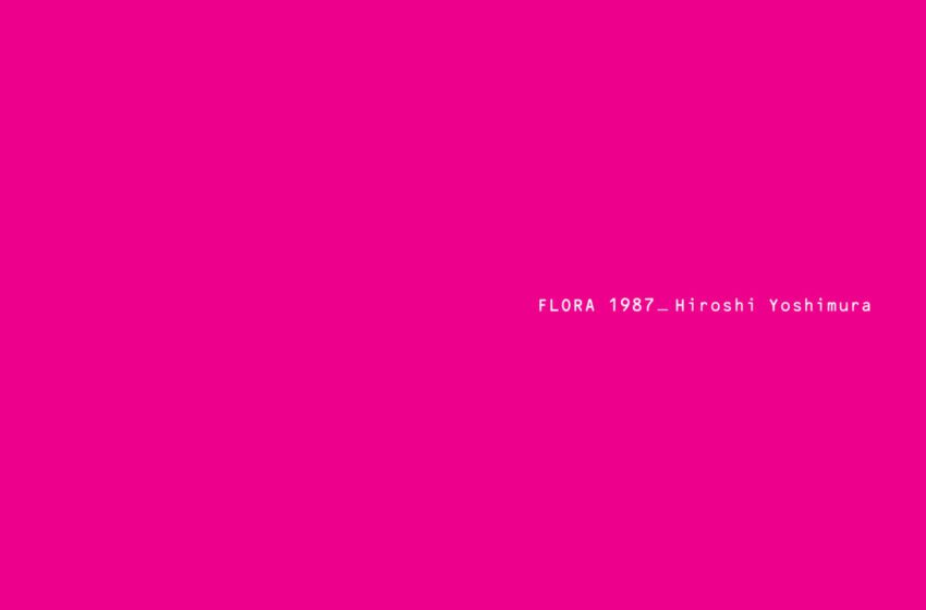 Flora – Hiroshi Yoshimura (1987) – Album Review