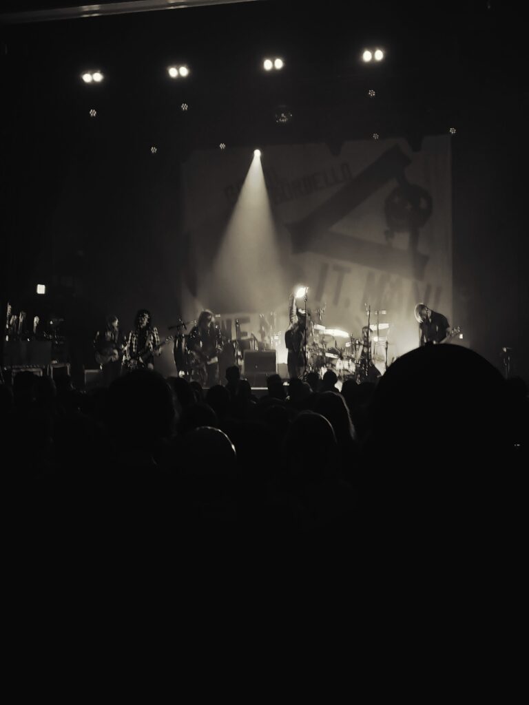 Puzzled Panther Concert Review