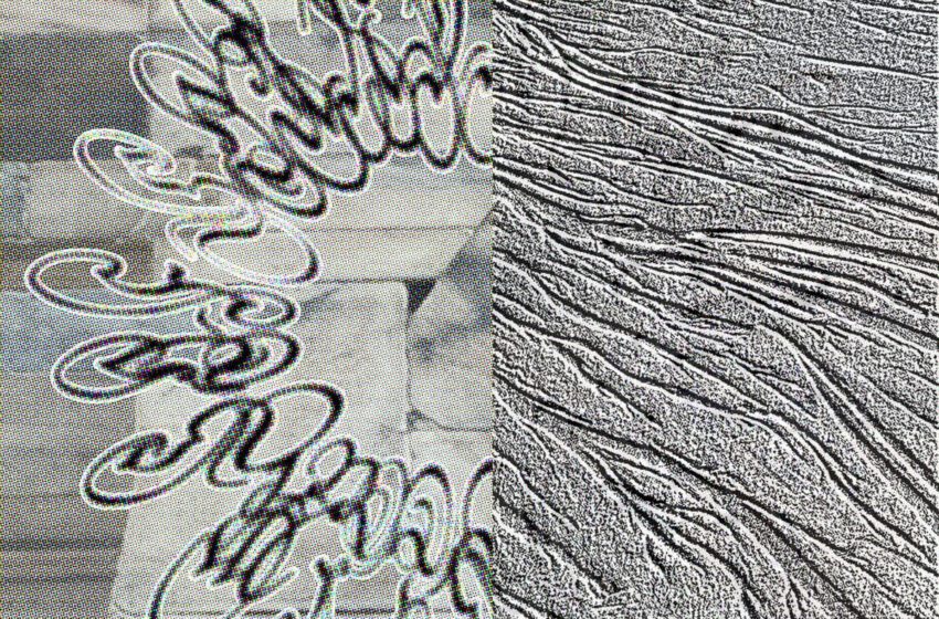  Systems For Sound Research – Flysch (2026) – Album Review