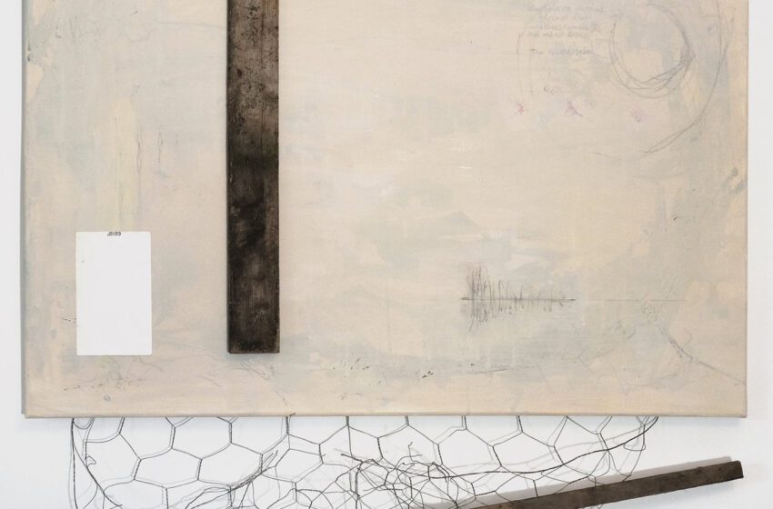  The Ticket in This Direction – Paluca (2026) – Album Revie