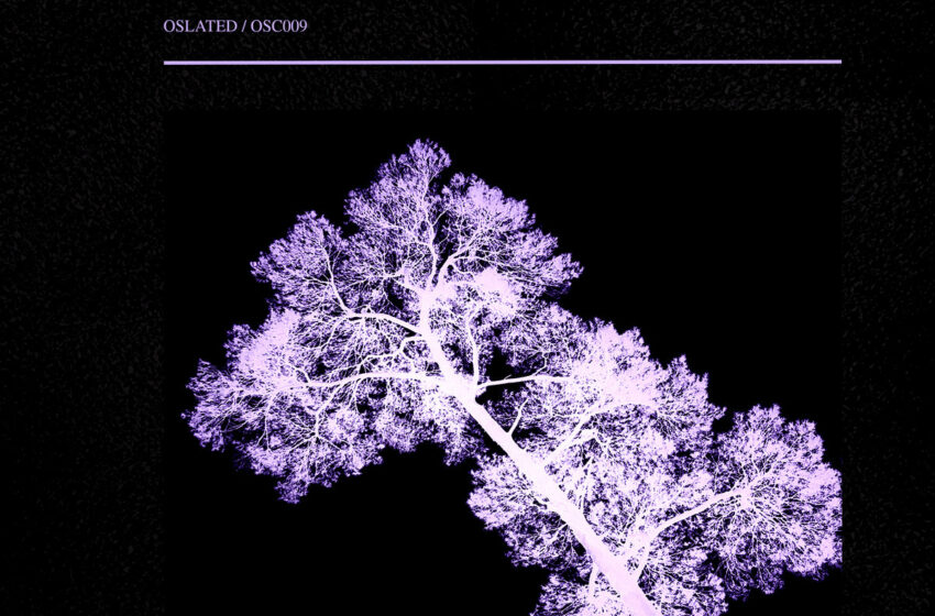  Oslated 10th Anniversary: Presence I – V/A – Oslated (2026) – Album Review